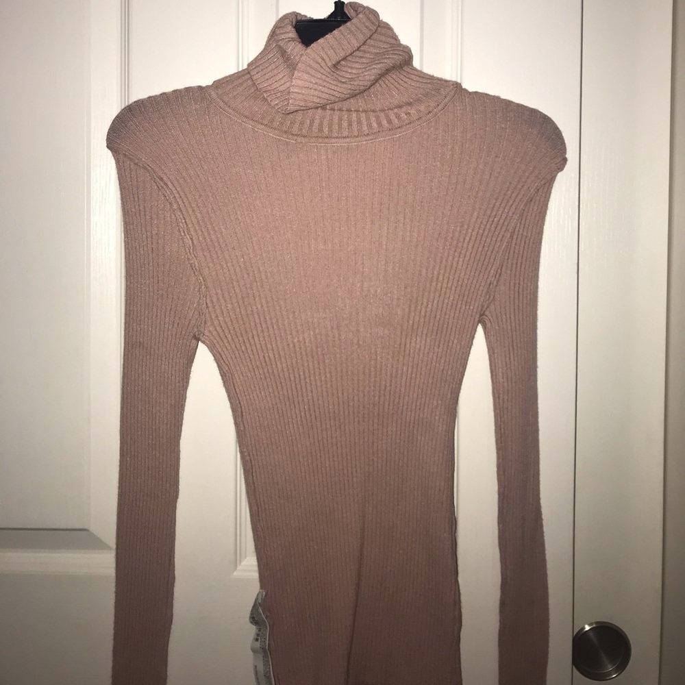 Fitted Turtleneck Sweater